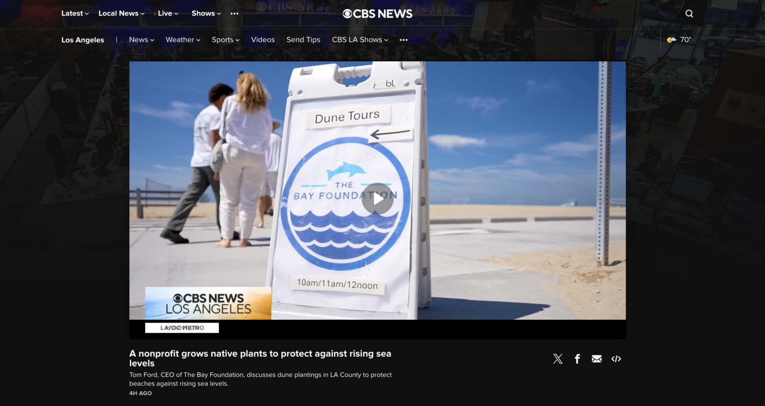 CBS News displaying video still with TBF logo